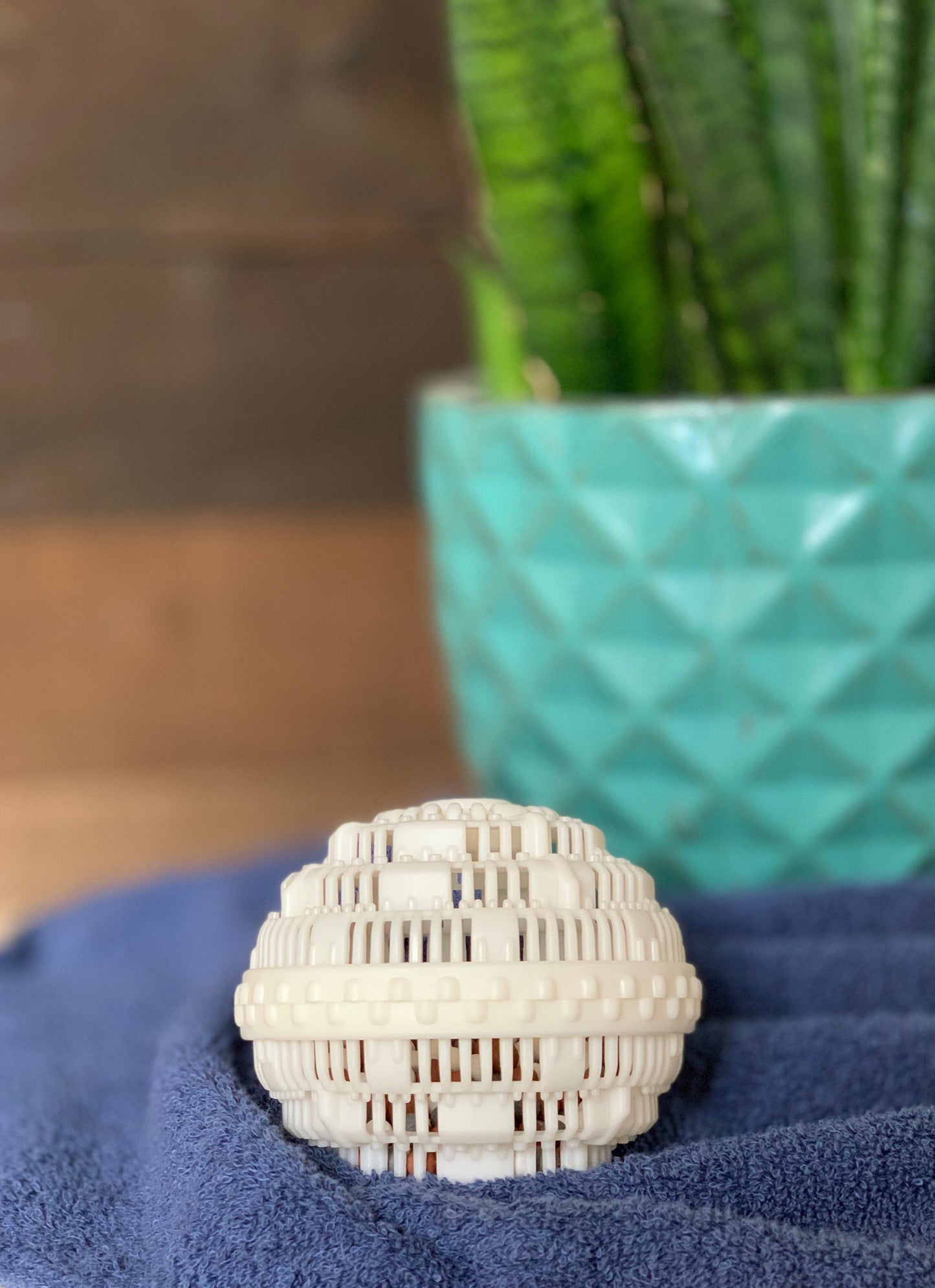 1 Ms. Wishy Washy Ball