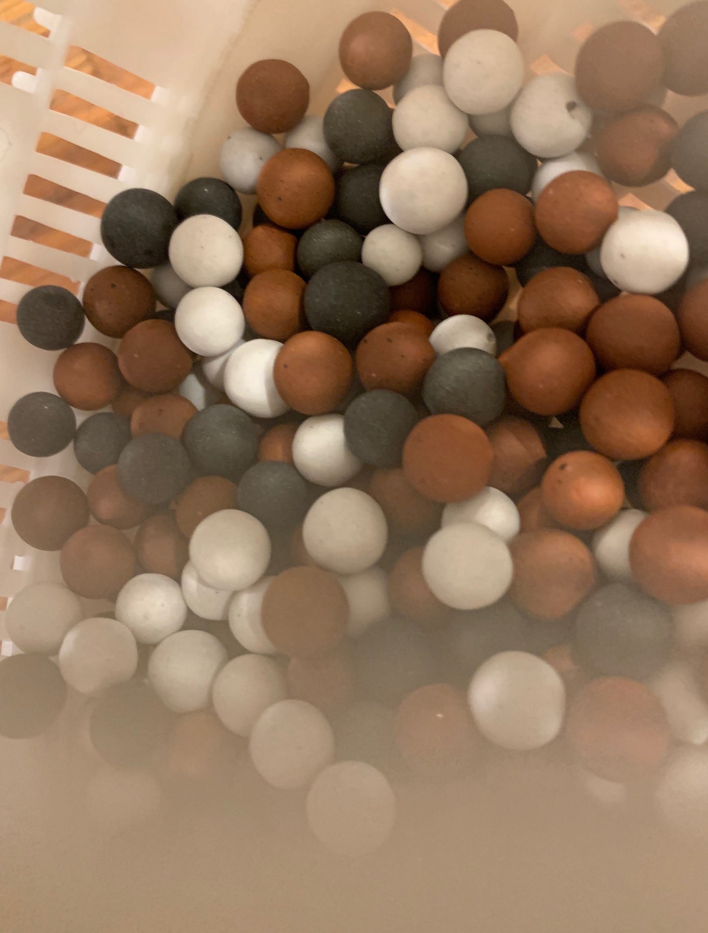 1 Ms. Wishy Washy Ball